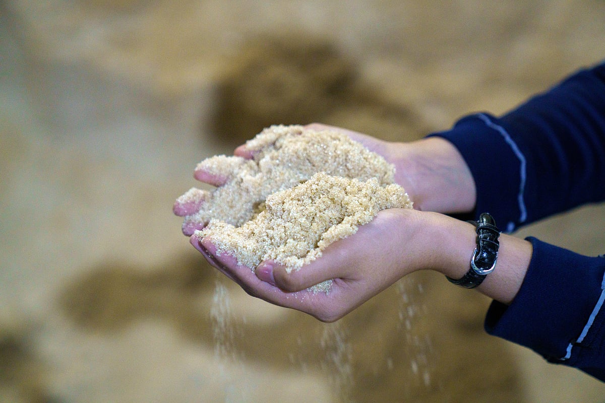 Raw Sugar Extends Loss On Prospect Of Higher Exports From India