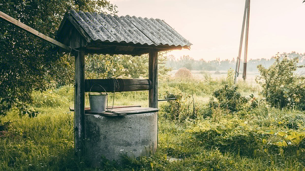 <div class="paragraphs"><p>Picture used for representational purpose (Photo by Pavlo Semeniuk on Unsplash)</p></div>