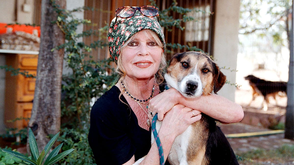 <div class="paragraphs"><p>Brigitte Bardot visits her dog refuge "The Nice Dogs" of Carnoules in Paris in 2001. (Photographer: Charly Hel/Prestige/Getty Images)</p></div>