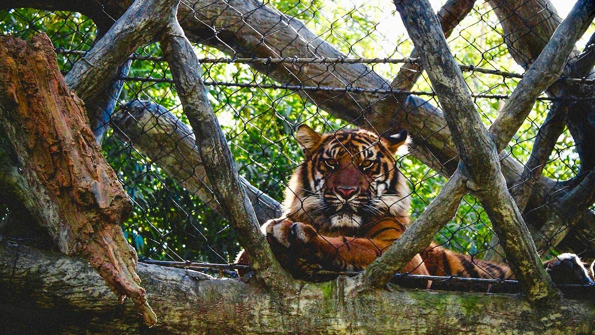 <div class="paragraphs"><p>Picture used for representational purpose only (Photo by Sara Pappas on Unsplash)</p></div>