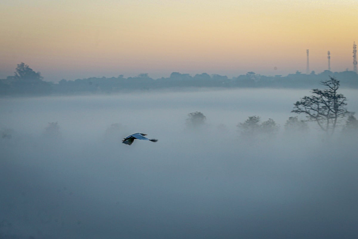 <div class="paragraphs"><p>Dense fog engulfs the city skyline on a winter morning, on Tuesday, Dec. 30, 2025. (Photo: PTI)</p></div>