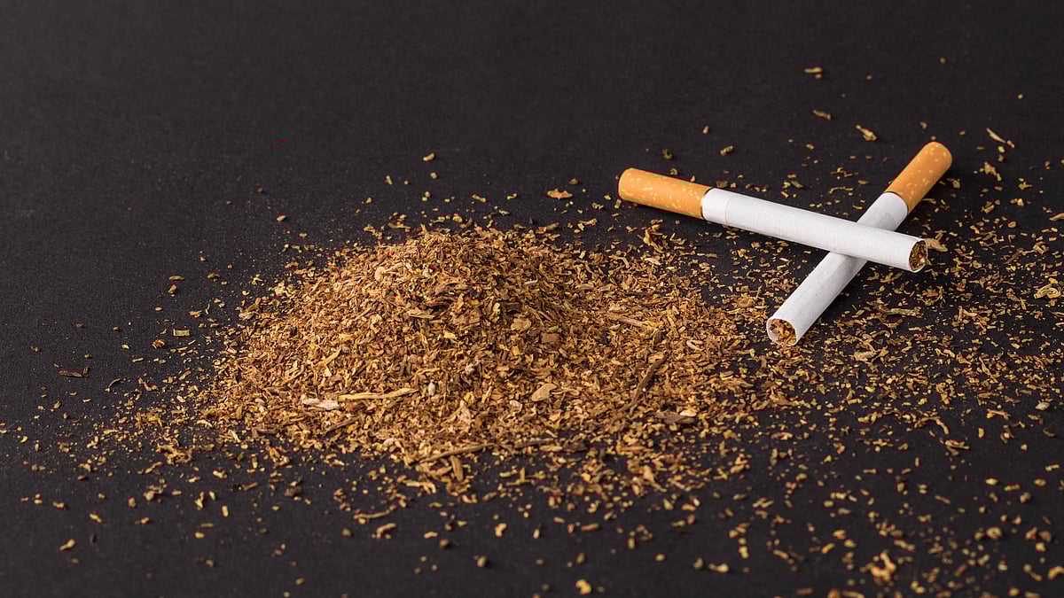 <div class="paragraphs"><p>The Finance Ministry on Wednesday also notified the Chewing Tobacco, Jarda Scented Tobacco and Gutkha Packing Machines (Capacity Determination and Collection of Duty) Rules, 2026. (Photo: Envato)</p></div>