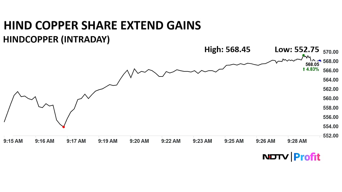 <div class="paragraphs"><p>Hindustan Copper on a 16-year-high</p></div>