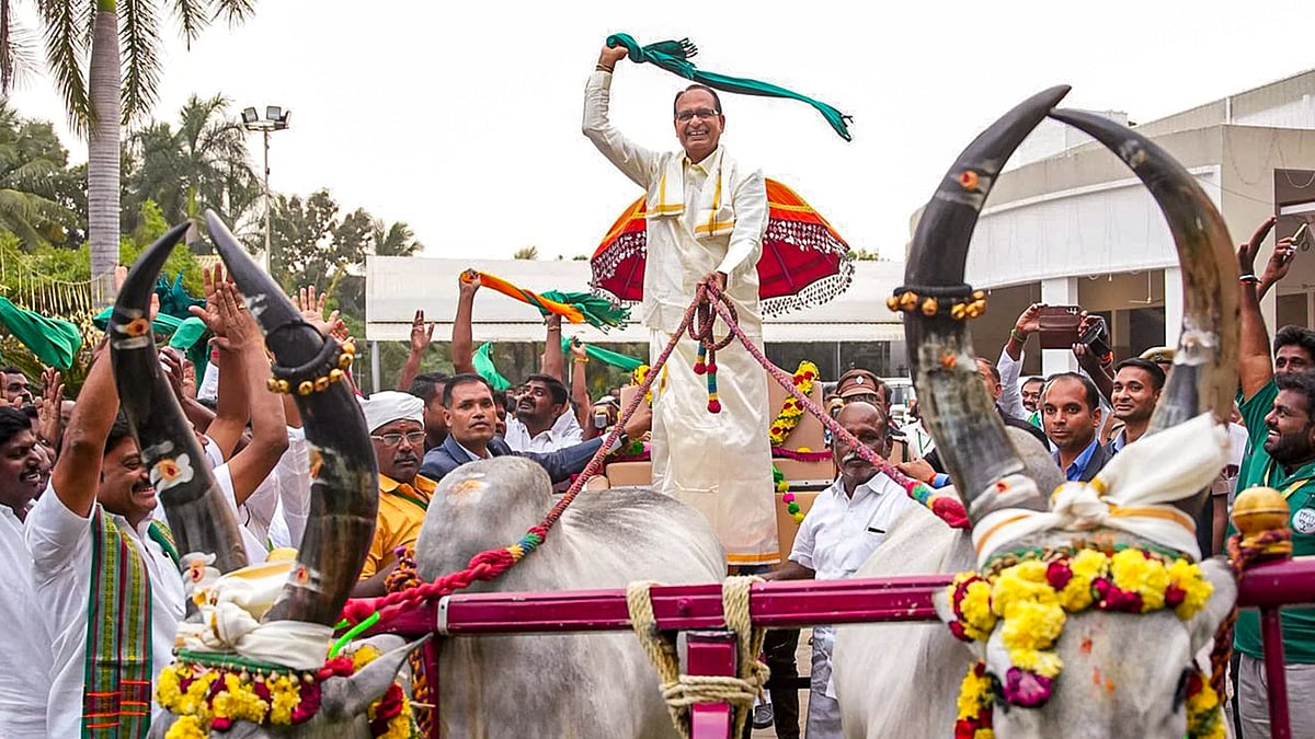 <div class="paragraphs"><p>Union Minister for Agriculture and Farmers' welfare Shivraj Singh Chouhan rides a bullock cart during an interaction with farmers, in Erode, Tamil Nadu. (Photo: PTI)</p></div>
