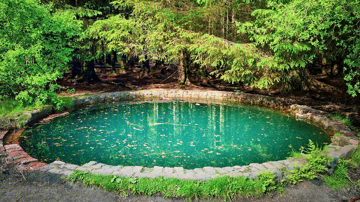 <div class="paragraphs"><p>Preliminary inquiry suggests that the boys had gone to the pond to bathe and drowned. (Photo by Johnny Briggs on Unsplash)</p></div>