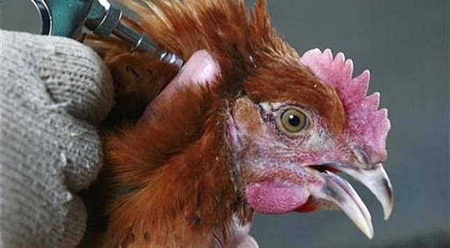 Dreamliners at Boeing's production line in Washington.