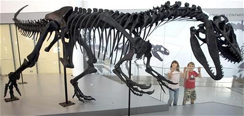 Anand Shimpi (Image courtesy: theverge.com)