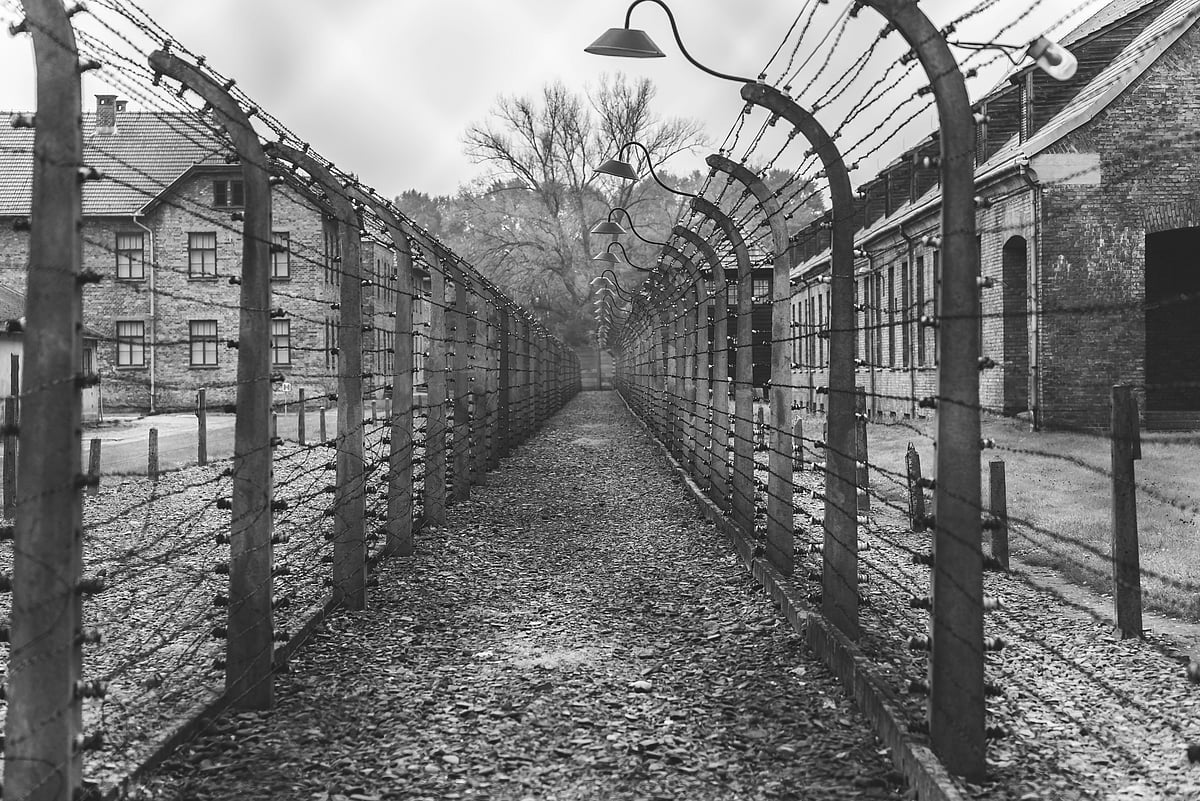 International Holocaust Remembrance Day 2024 Date, History And