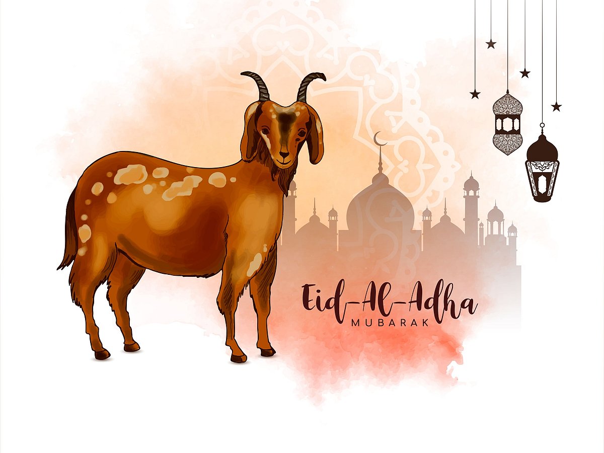 Eid-ul-Adha Celebrations
