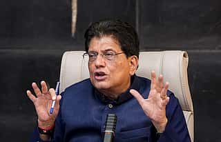'Have Trust In Your Country': Piyush Goyal Amid Uncertain India-US Trade Deal Timeline