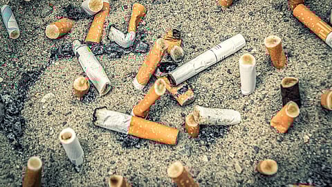  Cigarette butts are the most common plastic litter on beaches, making marine ecosystems more susceptible to micro-plastic leakages