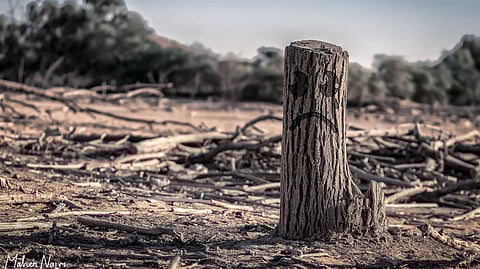  Disrupting Earth’s equilibrium: The global average of carbon dioxide concentrations hit a new high of 413.2 parts per million last year 
