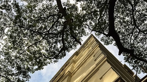  Environment impact assessments need to made transparent