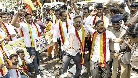  War cry over a milk brand: Pro-Kannada activists taking up cudgels against Amul's entry in the state 