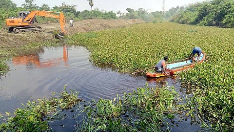  The first lake Grundfos has restored in Chennai: it plans more 