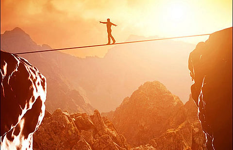  Creating a risk committee is seen as an insurance policy
