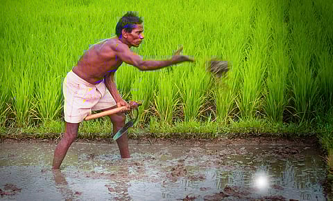  TN’s agri budget will help farmers turn into traders/businessmen 