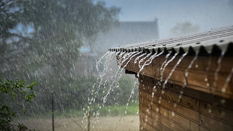 Pouring bad news: drinking rainwater is not at all safe 