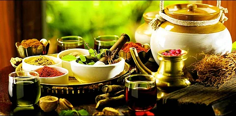  Herbal medication holds big potential 