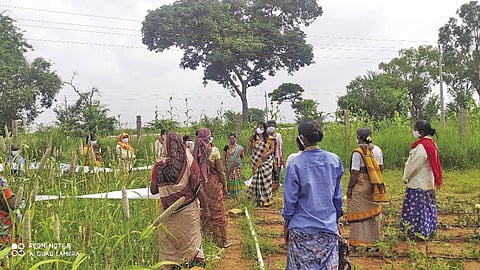  Bayer Foundation enables small holder farmers maximise output and enhance income 