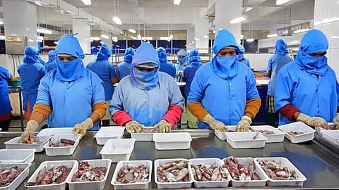  Gujarat’s seafood exports sector provides livelihood to over 3.5 lakh fishermen 