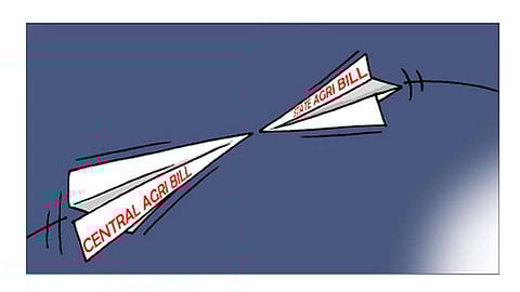  Illustration: Panju Ganguli 