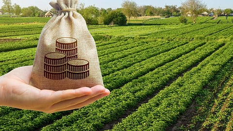  Across the country, NABARD has spearheaded initiatives showcasing successful financing models