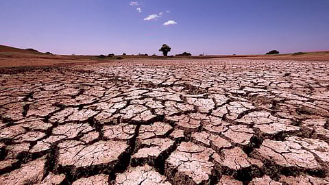  The losses from the droughts, wildfires and floods are now visible