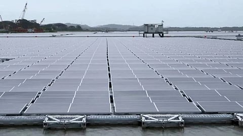  NTPC REL: leading the nation's renewable energy mission projects 