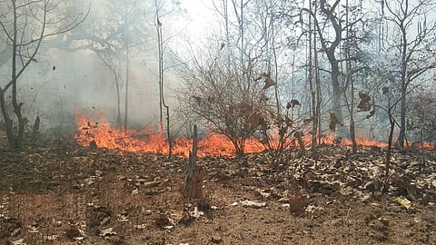  Contrary to western countries, the forest fires in India can be attributed to human-induced factors