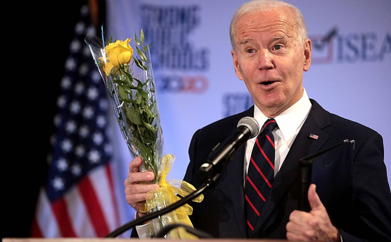  Biden: an archetypal establishment man 