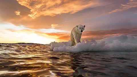  Arctic warming is disproportionately high and what happens in the Arctic affects all of us 