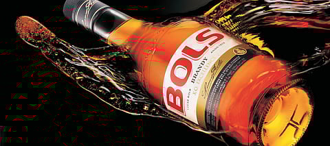  Alcoholic beverages are considered a sunrise industry owing to their high-growth potential and increasing social acceptance 