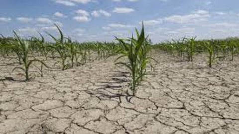  India could see as much as a 90 per cent drop in the GDP if the temperatures continue to rise all the way by 3 degrees, by 2100 