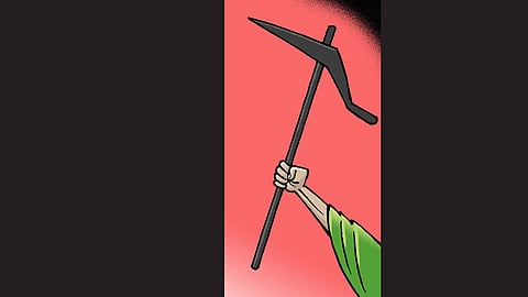  Illustration: Panju Ganguli 