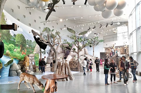 Bihar Museum throws light on the past