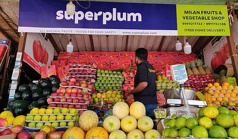  Superplum is the only modern farm to store fresh produce