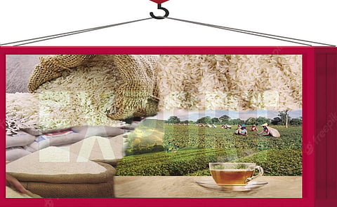  Iran has been one of the largest importers of Indian basmati and tea 