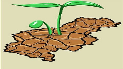 Greening Thar