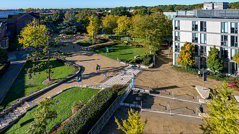 Southampton University: counted among top 100 institutes in the world 