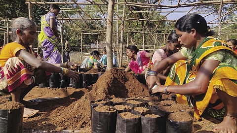 Is the government systematically crippling the MGNREGS? 