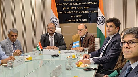 Caucino: trade is steadily expanding