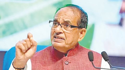 Chouhan: India will not allow the entry of any GM products