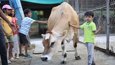 At Akshayakalpa, every drop of milk is sourced through a network of trained organic farmer-entrepreneurs