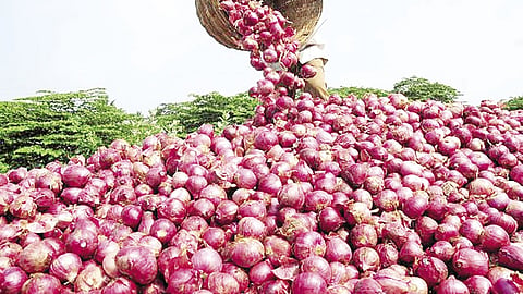 Recurring onion crisis: structural flaw?