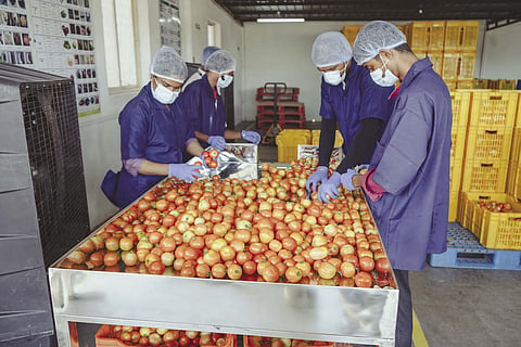 Amazon Now is creating a more efficient supply chain for fresh produce