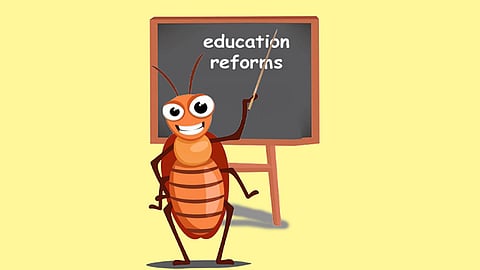 Rise of the ‘cockroaches’
