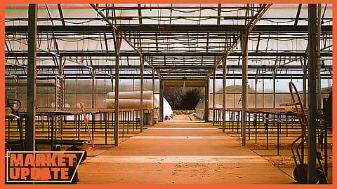 Hope Farms Tree Nursery & More to Blossom-Grand Opening in May! 