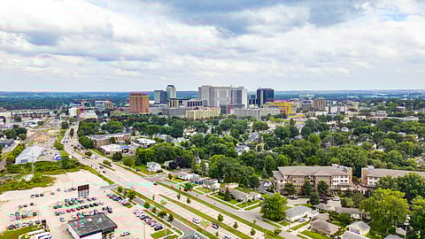 Rochester to Plant 3,000 Trees Focusing on Equity and Climate