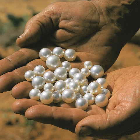 Close-up of lustrous cultured pearls, symbolising sustainable pearl farming and marine harmony.